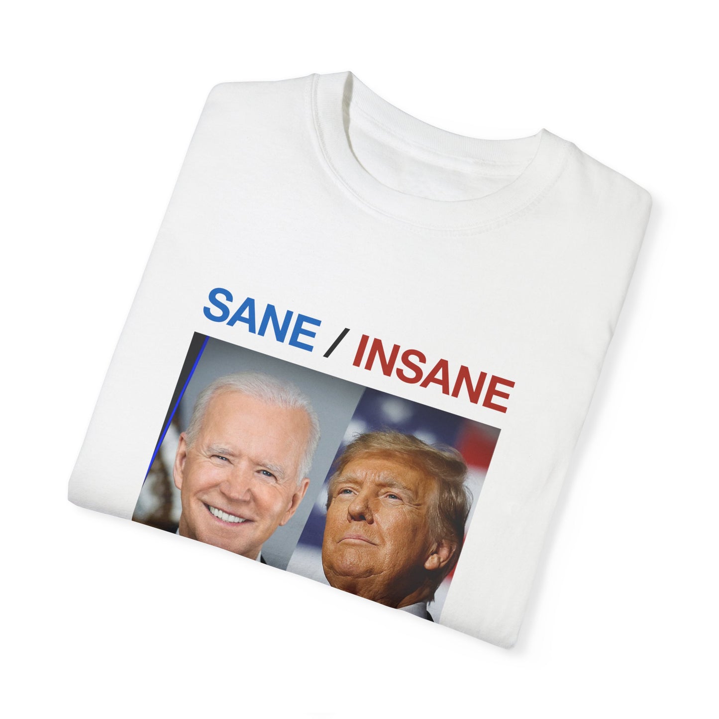 Sane/Insane 2024 Unisex Garment-Dyed T-shirt