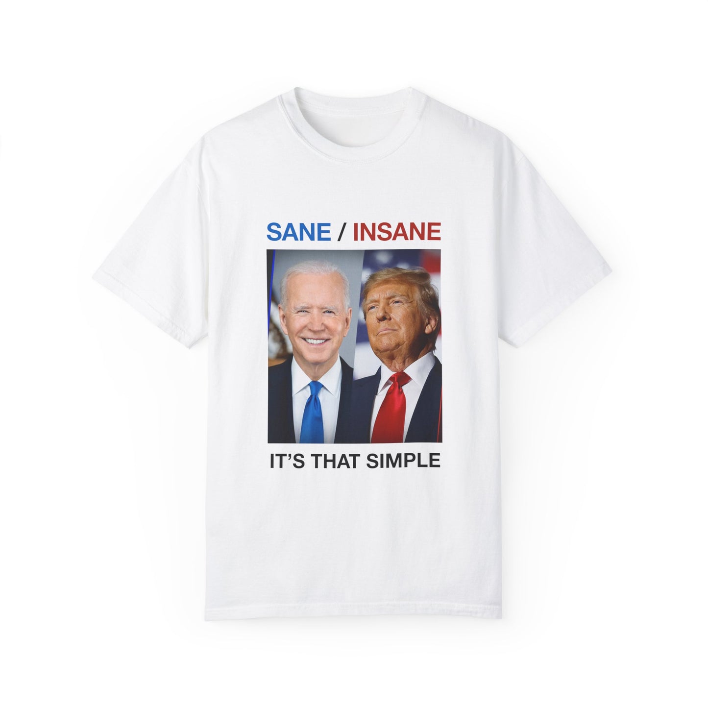 Sane/Insane 2024 Unisex Garment-Dyed T-shirt