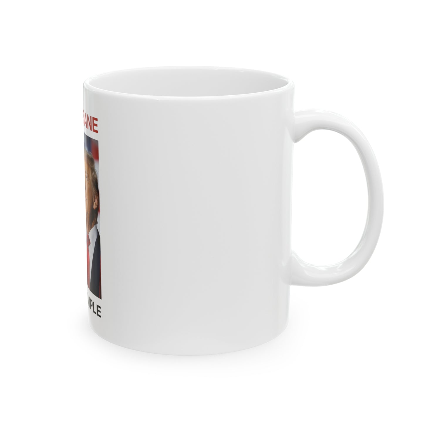 Sane/Insane Ceramic Mug, 11oz